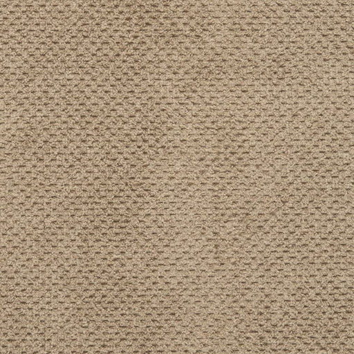 Charlotte - D3018 - Taupe - Fabric by the Yard Taupe