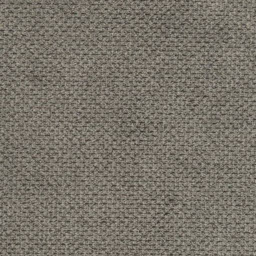 Charlotte - D3019 - Steel - Fabric by the Yard Steel