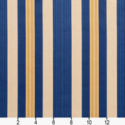 Charlotte - D301 - Regal Noble Stripe - Fabric by the Yard - D301 - D301_Ruler