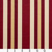 Charlotte - D302 - Ruby Noble Stripe - Fabric by the Yard - D302 - D302_Ruler