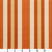 Charlotte - D304 - Amber Noble Stripe - Fabric by the Yard - D304 - D304_Ruler