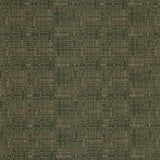 Charlotte - D3084 - Pistachio - Fabric by the Yard