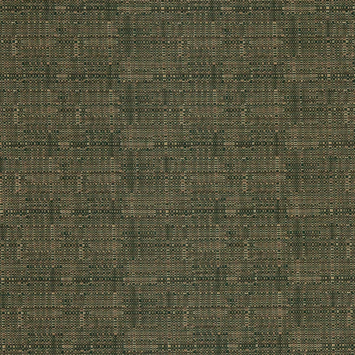 Charlotte - D3084 - Pistachio - Fabric by the Yard Pistachio