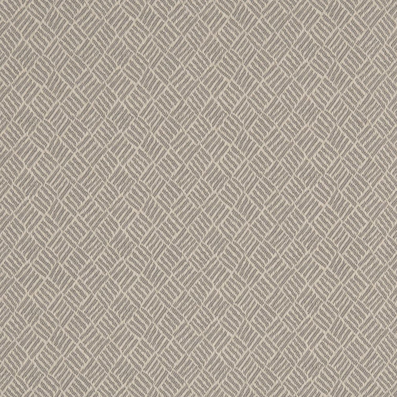 Charlotte - D3093 - Silver - Fabric by the Yard Silver