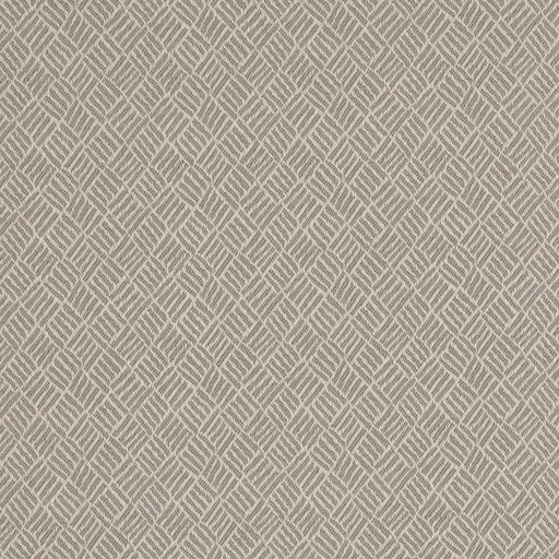 Charlotte - D3093 - Silver - Fabric by the Yard Silver