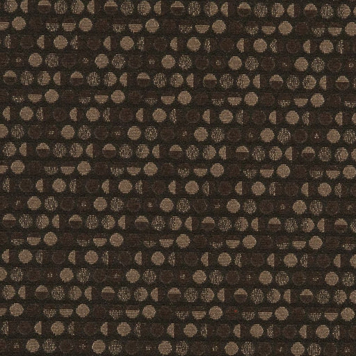 Charlotte - D3106 - Chocolate - Fabric by the Yard Chocolate