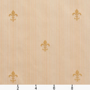 Charlotte - D310 - Antique Medallion - Fabric by the Yard - D310 - D310_Ruler