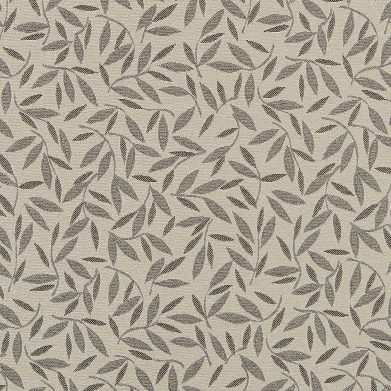 Charlotte - D3129 - Fog - Fabric by the Yard Fog