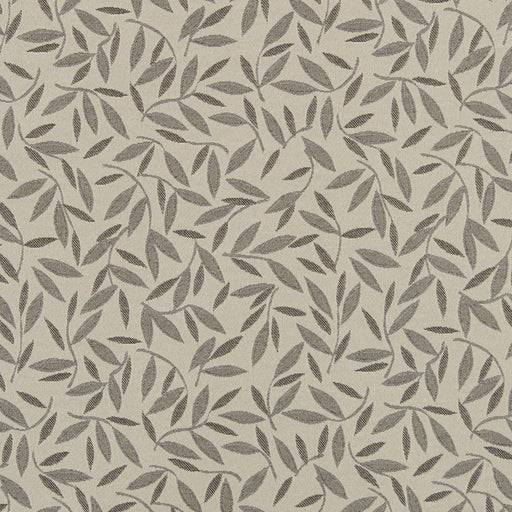 Charlotte - D3129 - Fog - Fabric by the Yard Fog