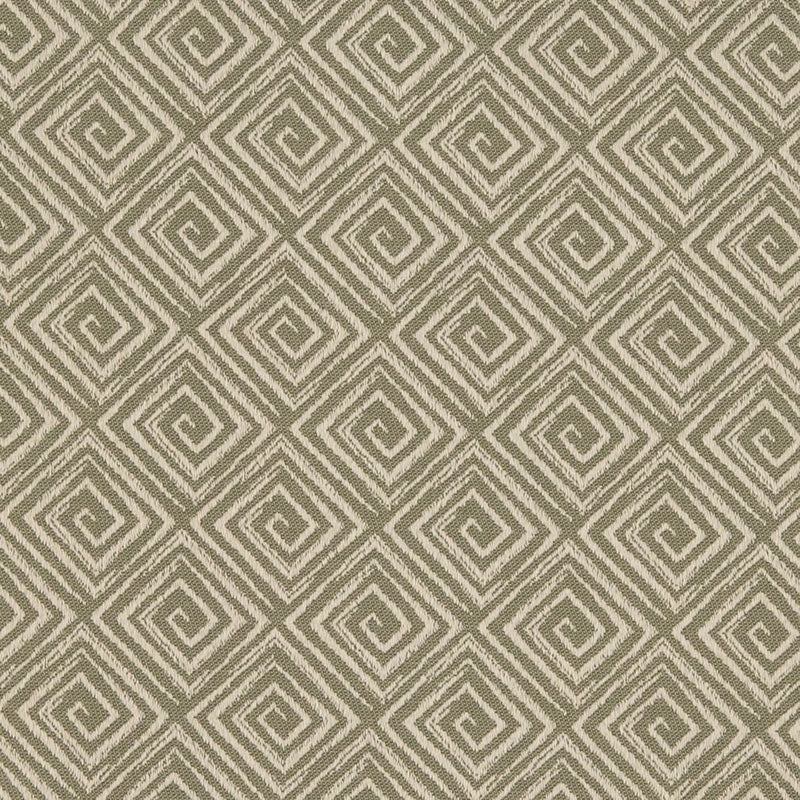 Charlotte - D3174 - Sprout - Fabric by the Yard Sprout