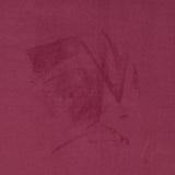 Charlotte - D3213 - Berry - Fabric by the Yard
