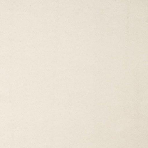 Charlotte - D3215 - Fog - Fabric by the Yard Fog