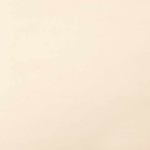 Charlotte - D3223 - Ecru - Fabric by the Yard Ecru