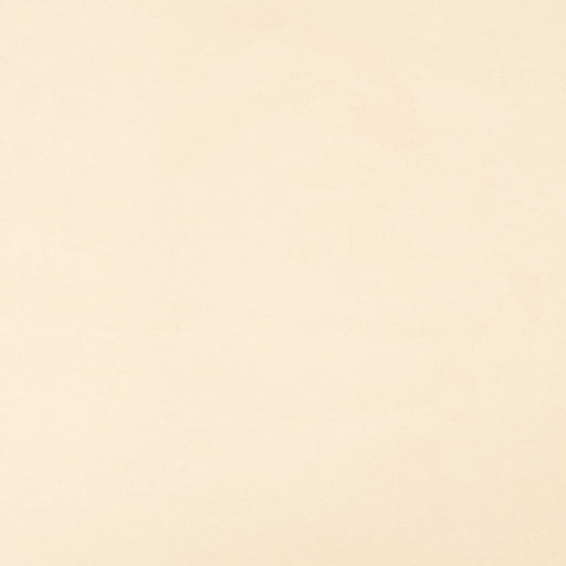 Charlotte - D3226 - Buff - Fabric by the Yard Buff