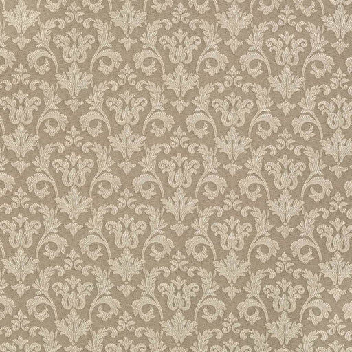 Charlotte - D3235 - Beige Belle - Fabric by the Yard Beige Belle