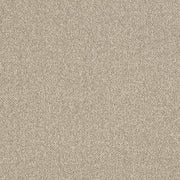 Charlotte - D3241 - Beige - Fabric by the Yard Beige