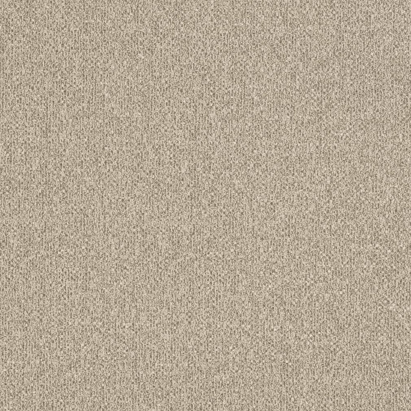Charlotte - D3241 - Beige - Fabric by the Yard Beige