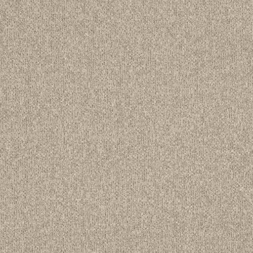 Charlotte - D3241 - Beige - Fabric by the Yard Beige
