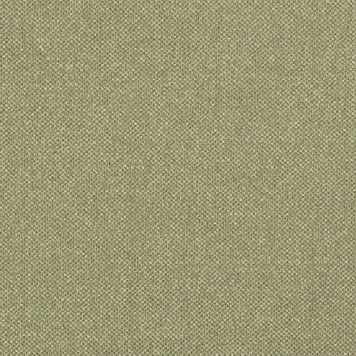 Charlotte - D3244 - Juniper - Fabric by the Yard Juniper