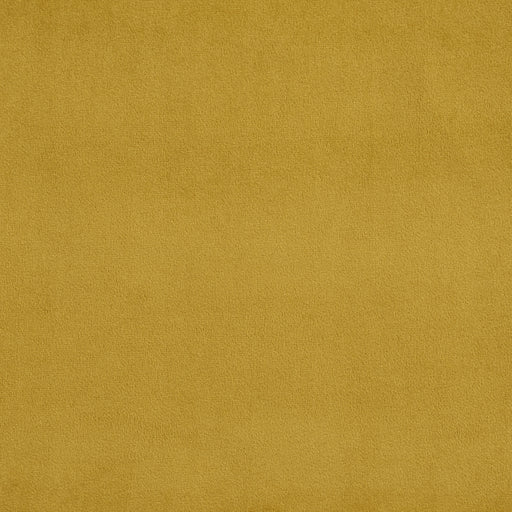 Charlotte - D325 - Antique - Fabric by the Yard Antique