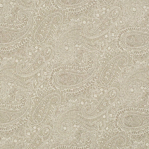 Charlotte - D3277 - Marble Grove - Fabric by the Yard Marble Grove