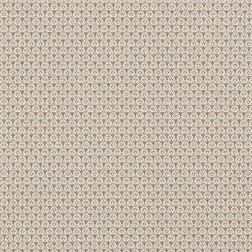 Charlotte - D3290 - Beige Petite - Fabric by the Yard Beige Petite