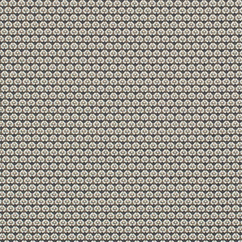 Charlotte - D3294 - Midnight Petite - Fabric by the Yard Midnight Petite