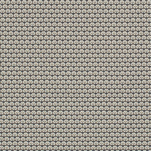 Charlotte - D3294 - Midnight Petite - Fabric by the Yard Midnight Petite