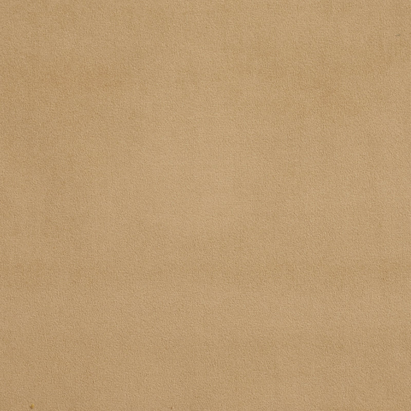 Charlotte - D329 - Sand - Fabric by the Yard Sand