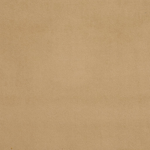 Charlotte - D329 - Sand - Fabric by the Yard Sand