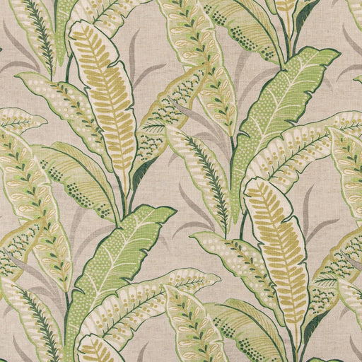 Charlotte - D3306 - Leaf - Fabric by the Yard Leaf