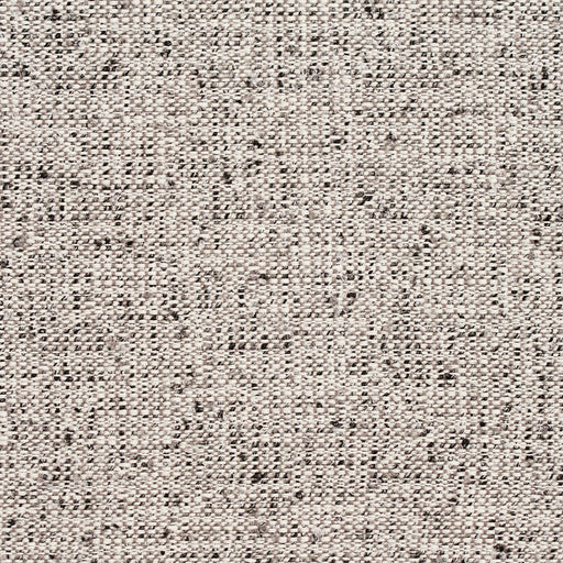 Charlotte - D333 - Fog - Fabric by the Yard Fog