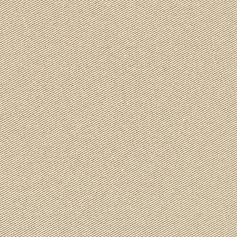 Charlotte - D3375 - Ash - Fabric by the Yard Ash