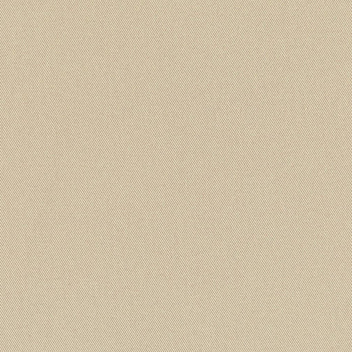 Charlotte - D3375 - Ash - Fabric by the Yard Ash