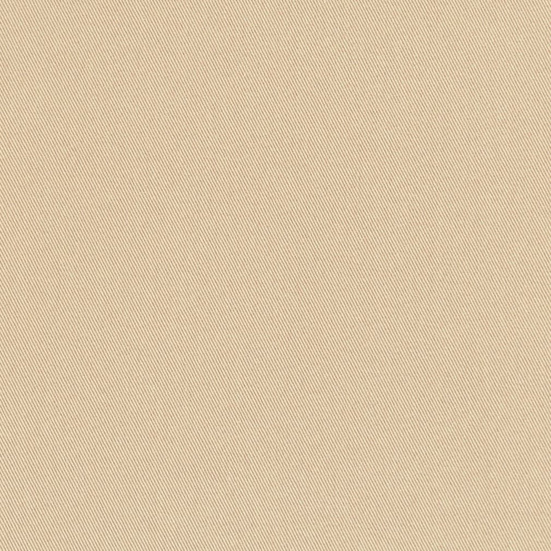 Charlotte - D3379 - Barley - Fabric by the Yard Barley