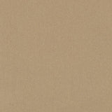 Charlotte - D3380 - Putty - Fabric by the Yard