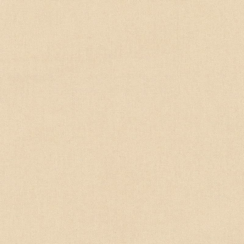 Charlotte - D3411 - Hemp - Fabric by the Yard Hemp