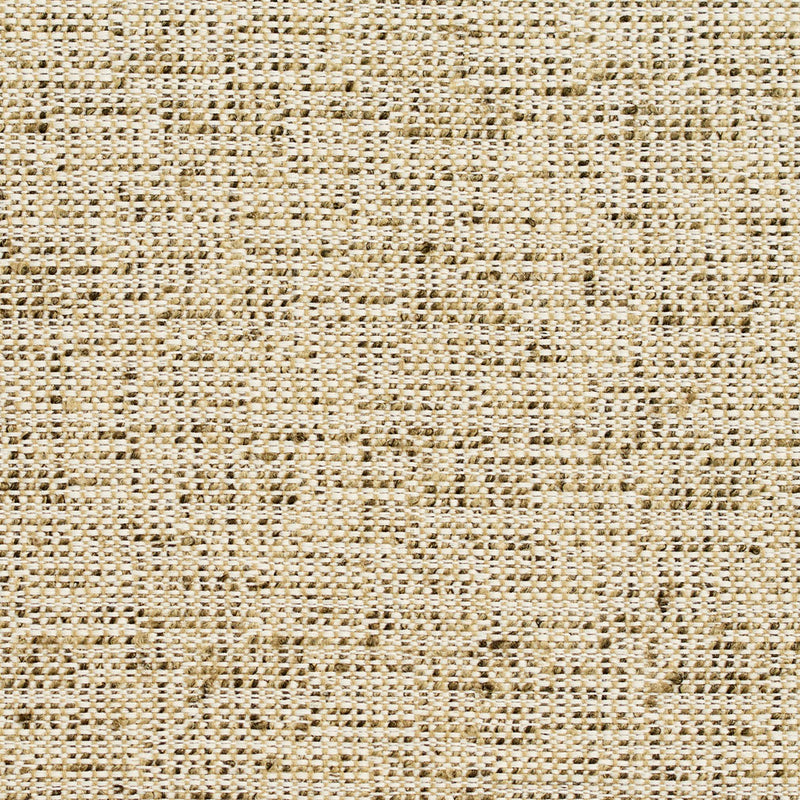 Charlotte - D341 - Spring - Fabric by the Yard Spring