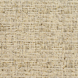 Charlotte - D341 - Spring - Fabric by the Yard