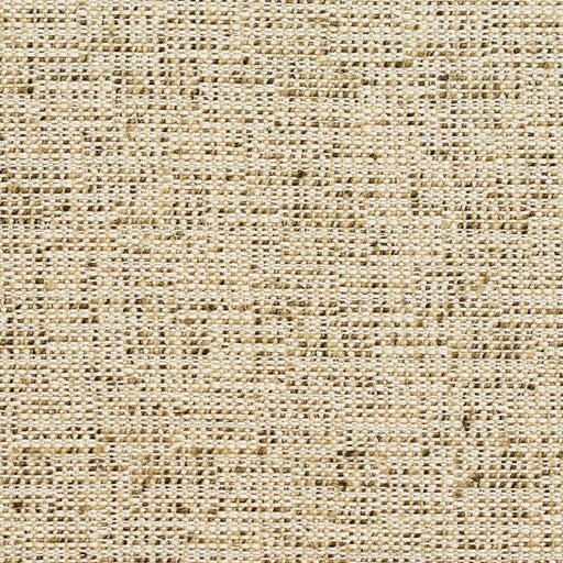 Charlotte - D341 - Spring - Fabric by the Yard Spring