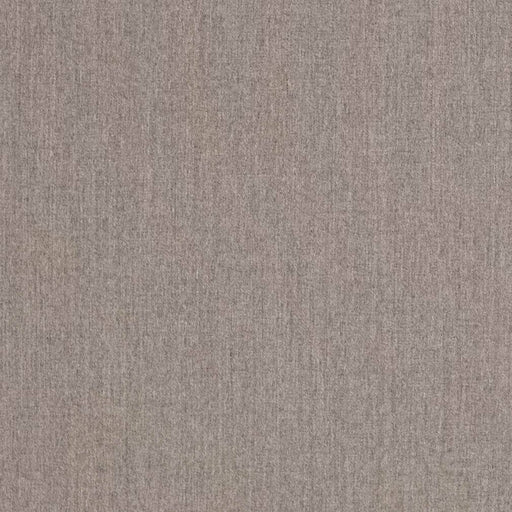 Charlotte - D3421 - Shale - Fabric by the Yard Shale