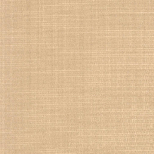 Charlotte - D3424 - Almond - Fabric by the Yard Almond