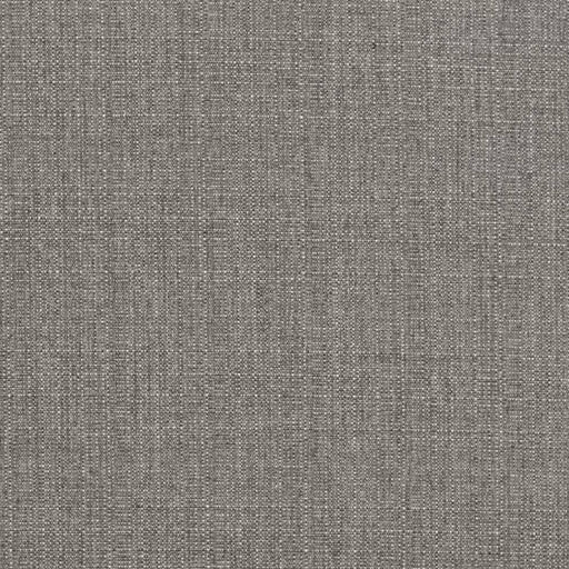 Charlotte - D3429 - Stone - Fabric by the Yard Stone