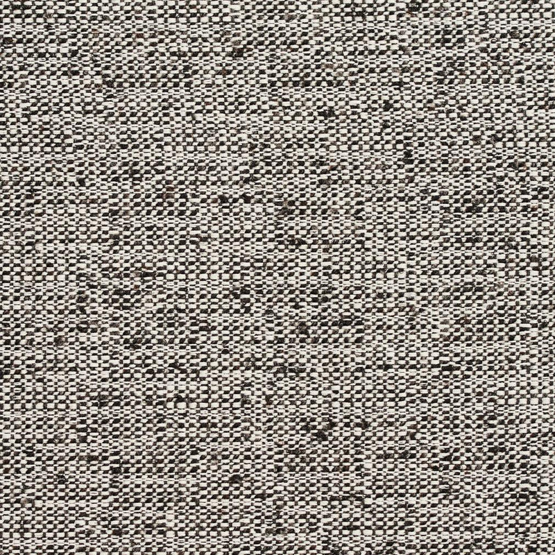 Charlotte - D343 - Raven - Fabric by the Yard Raven