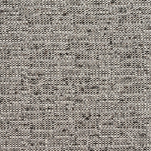 Charlotte - D343 - Raven - Fabric by the Yard Raven