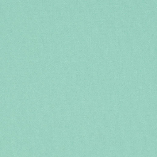 Charlotte - D3447 - Glacier - Fabric by the Yard Glacier