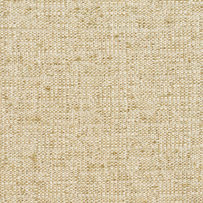 Charlotte - D344 - Meadow - Fabric by the Yard Meadow