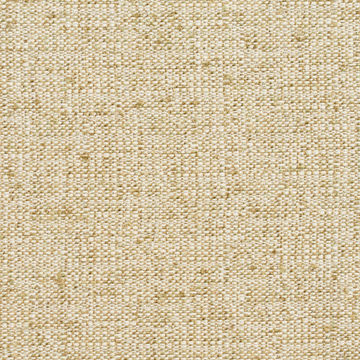Charlotte - D344 - Meadow - Fabric by the Yard Meadow
