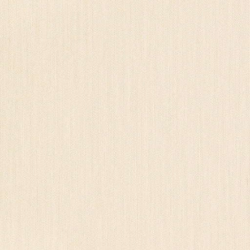 Charlotte - D3450 - Seashell - Fabric by the Yard Seashell