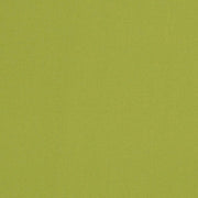 Charlotte - D3451 - Lime - Fabric by the Yard Lime